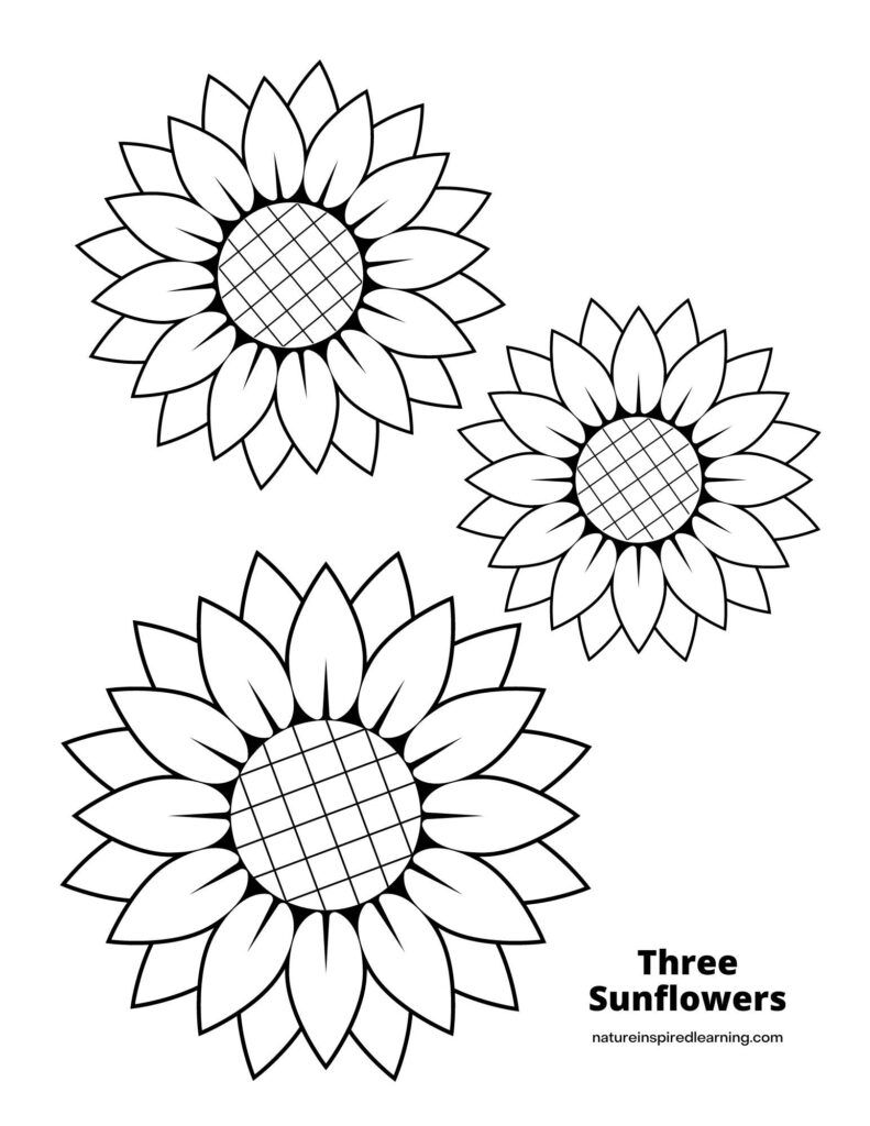 sunny sunflower coloring pages printable jpg