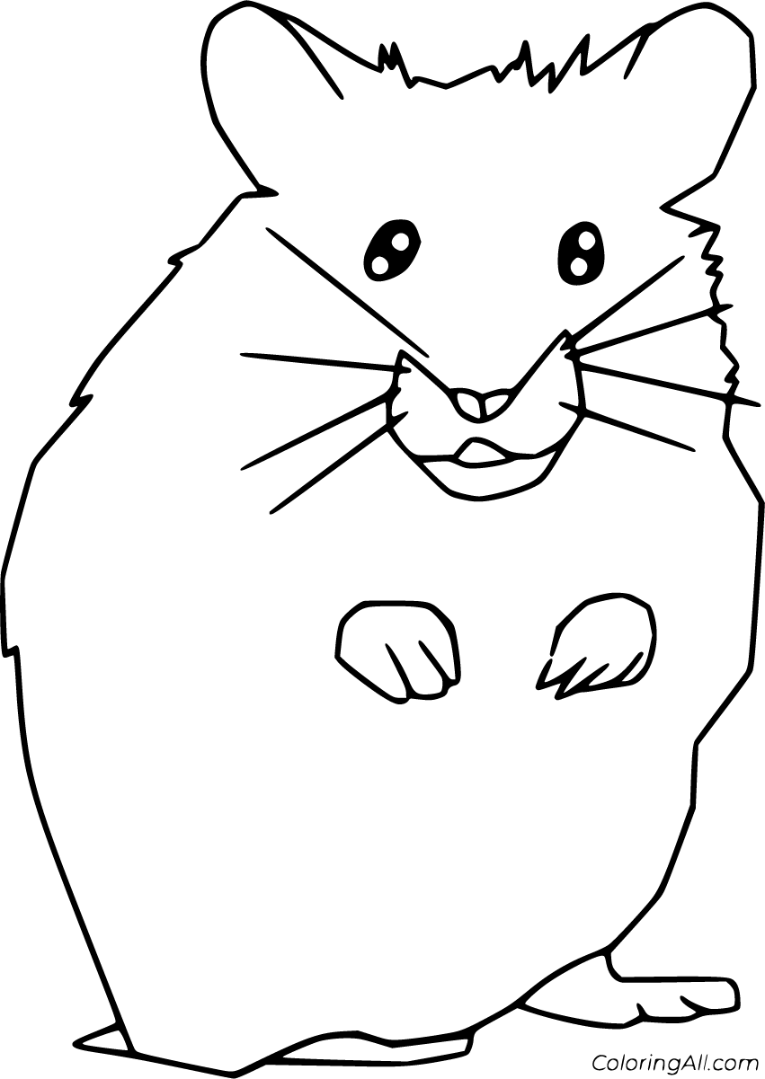 cute hamster coloring pages printable jpg