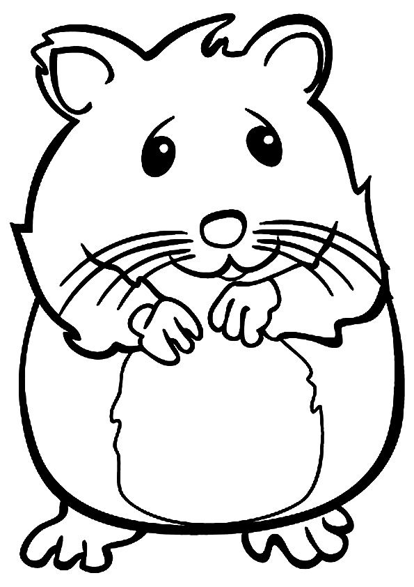 cute hamster coloring pages printable jpg