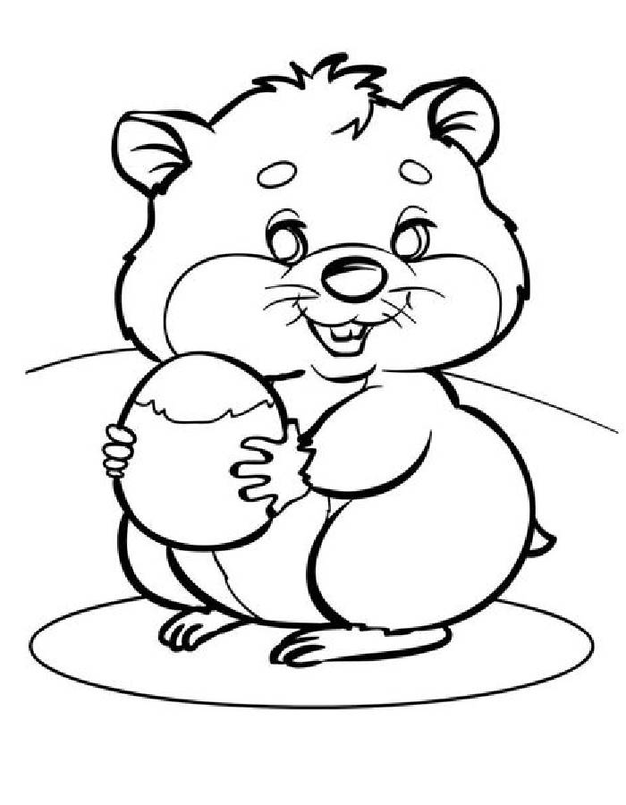 cute hamster coloring pages printable jpg