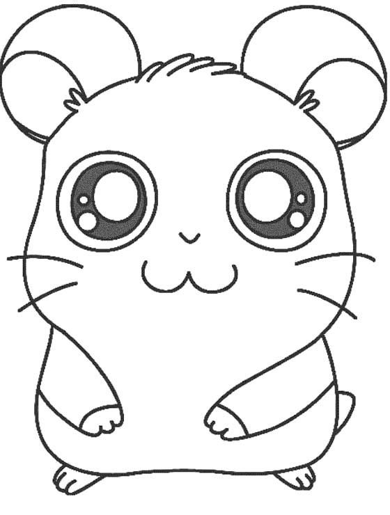 cute hamster coloring pages printable jpg