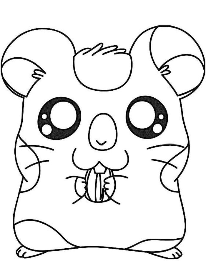 cute hamster coloring pages printable jpg