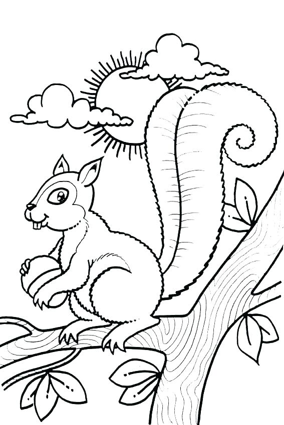 cute squirrels coloring pages printable jpg