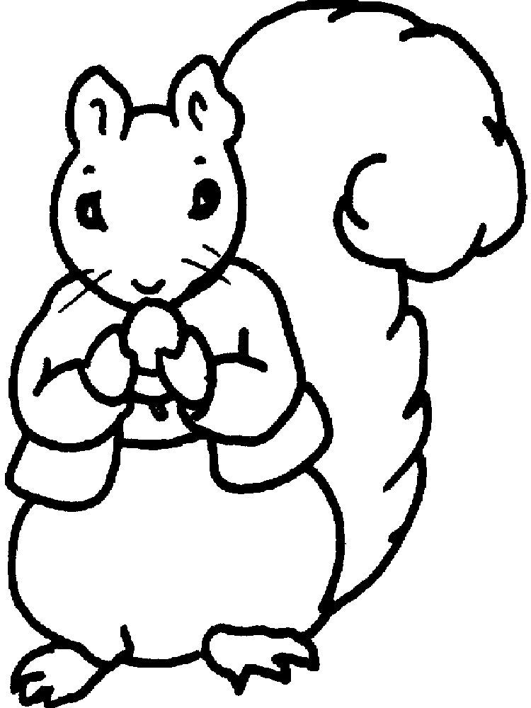 cute squirrels coloring pages printable jpg