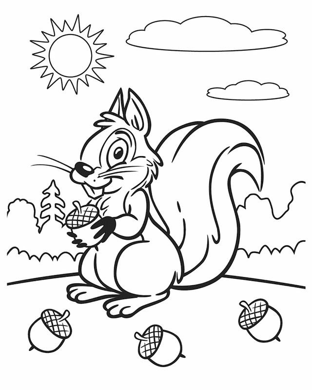 cute squirrels coloring pages printable jpg