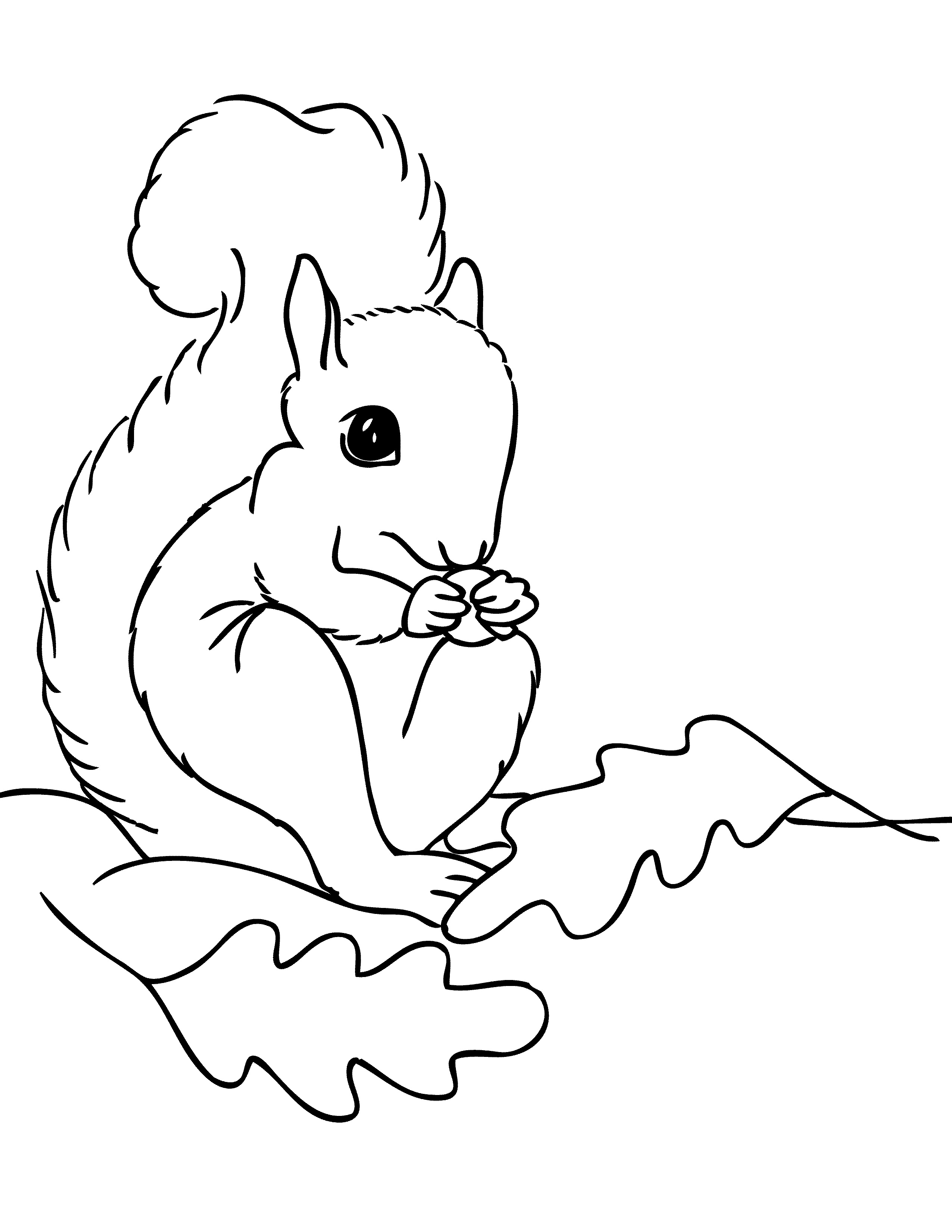 cute squirrels coloring pages printable jpg