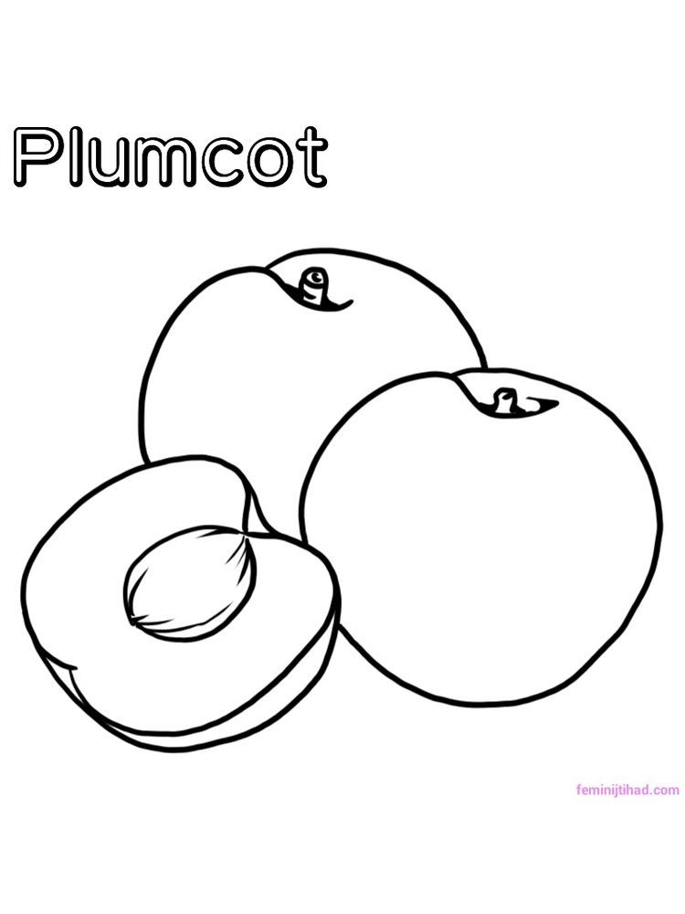 sweet plum coloring pages printable jpg