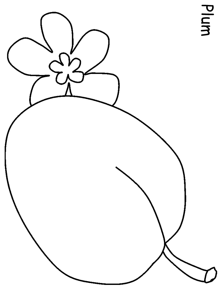 sweet plum coloring pages printable jpg