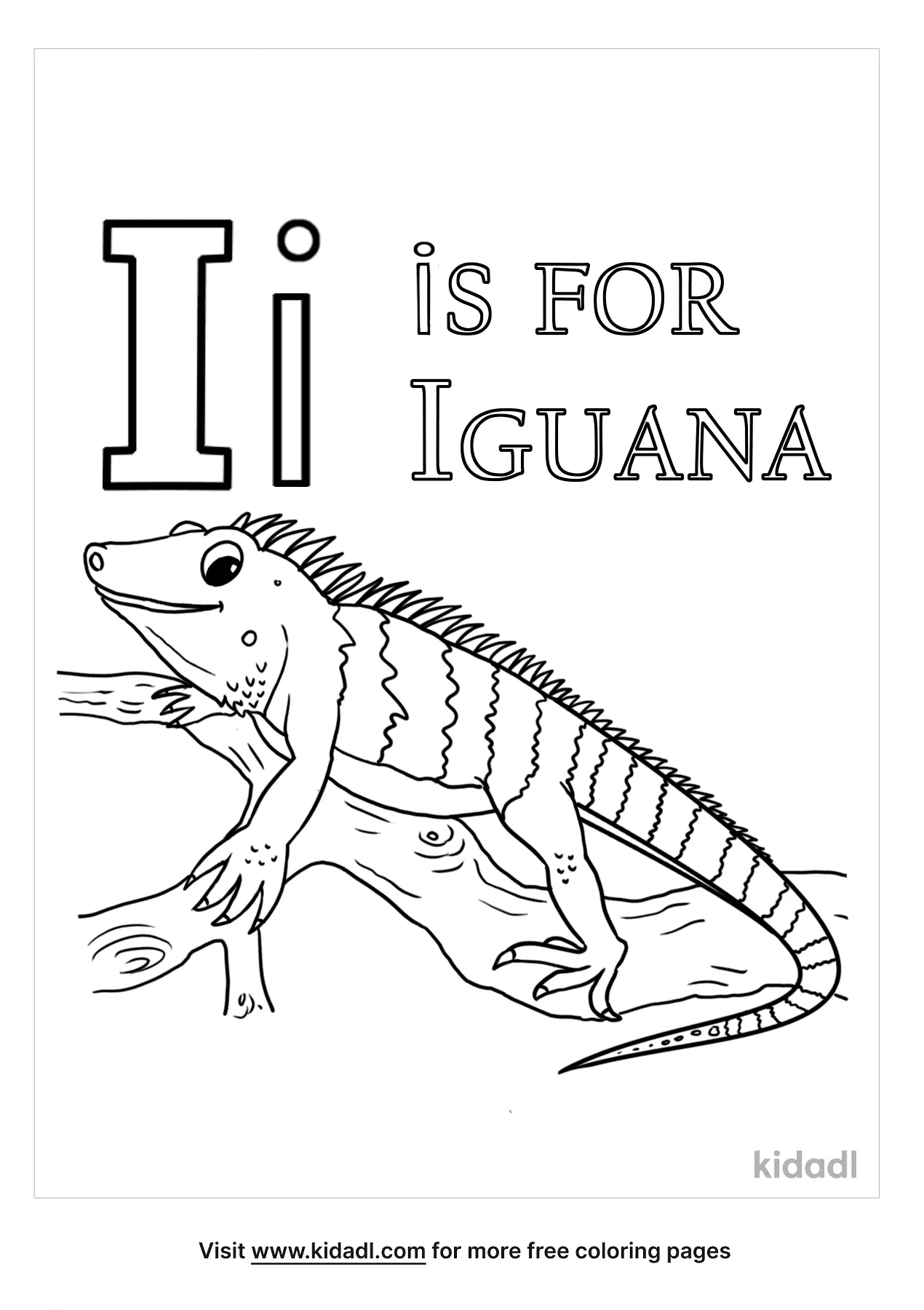 vibrant iguana coloring pages printable jpg