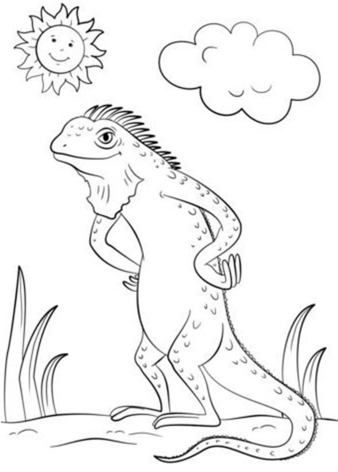 vibrant iguana coloring pages printable jpg