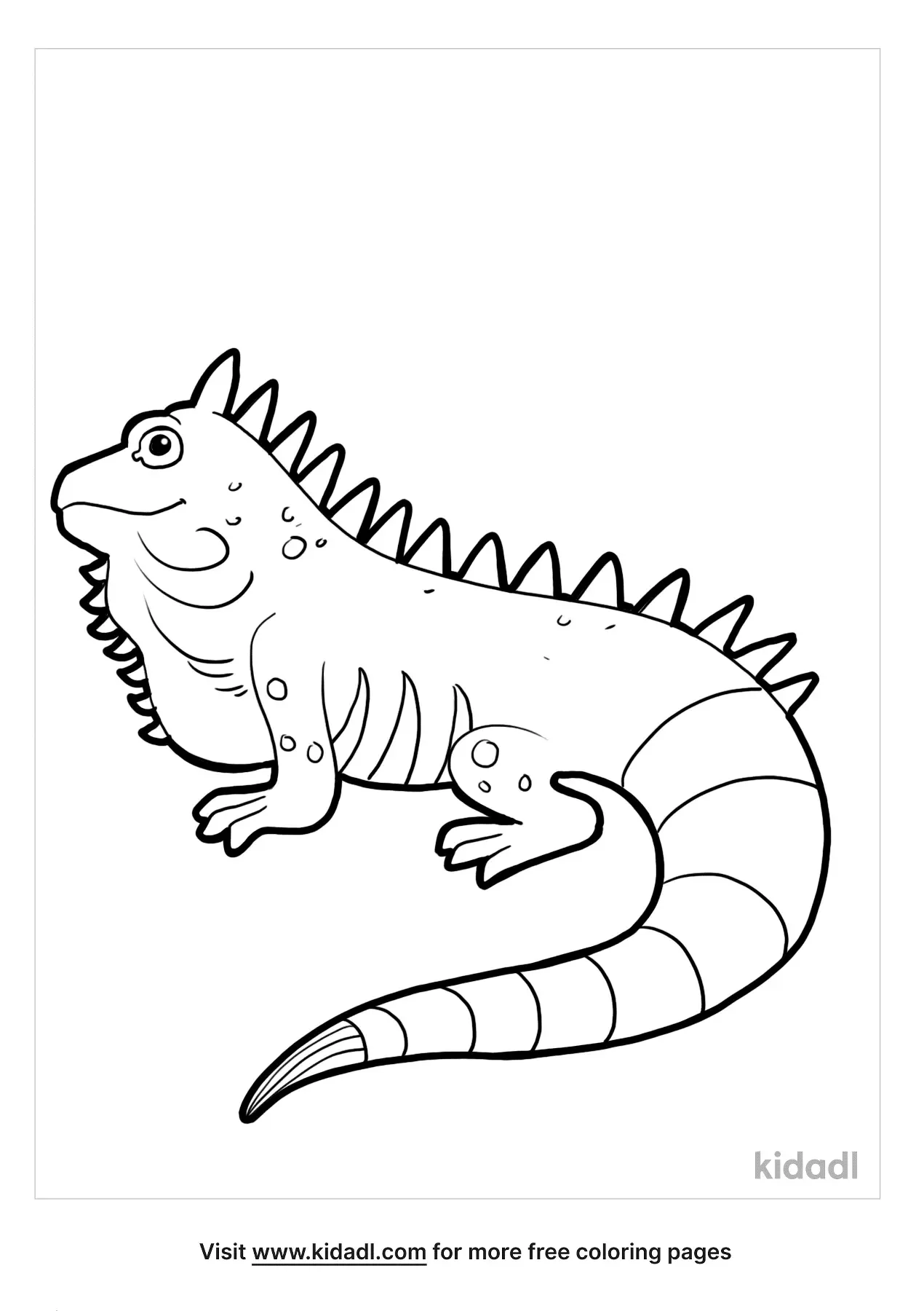 vibrant iguana coloring pages printable jpg