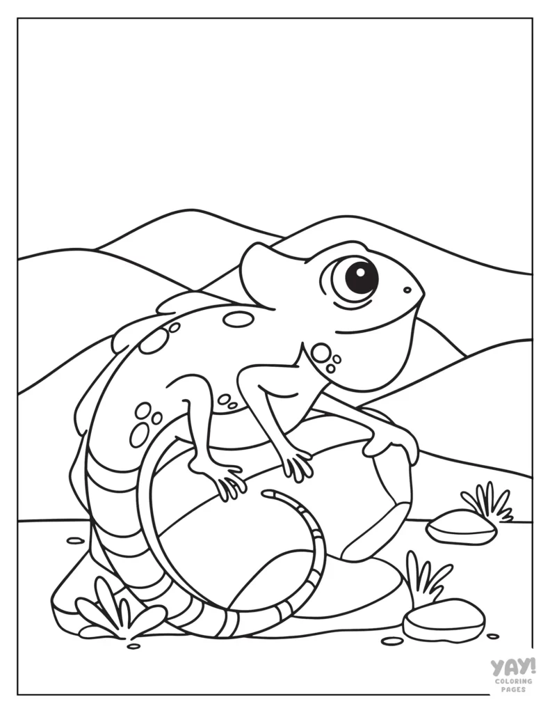 vibrant iguana coloring pages printable jpg