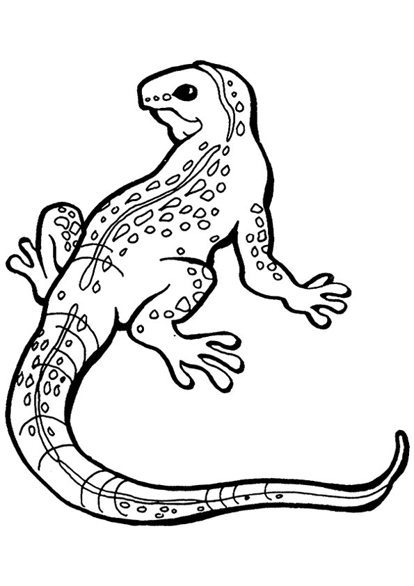 vibrant iguana coloring pages printable jpg