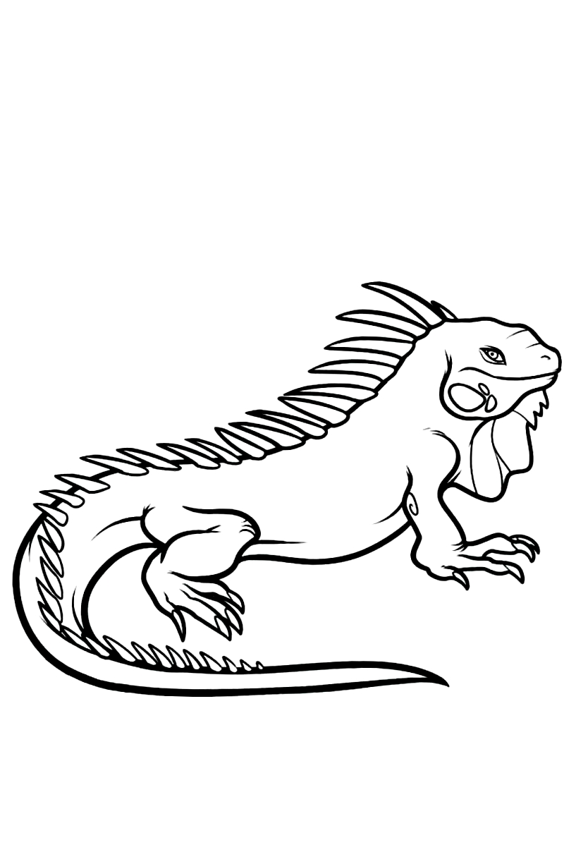 vibrant iguana coloring pages printable jpg