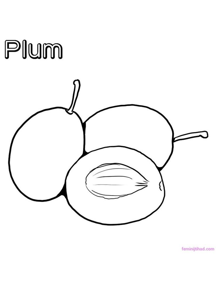 juicy plum coloring pages printable jpg