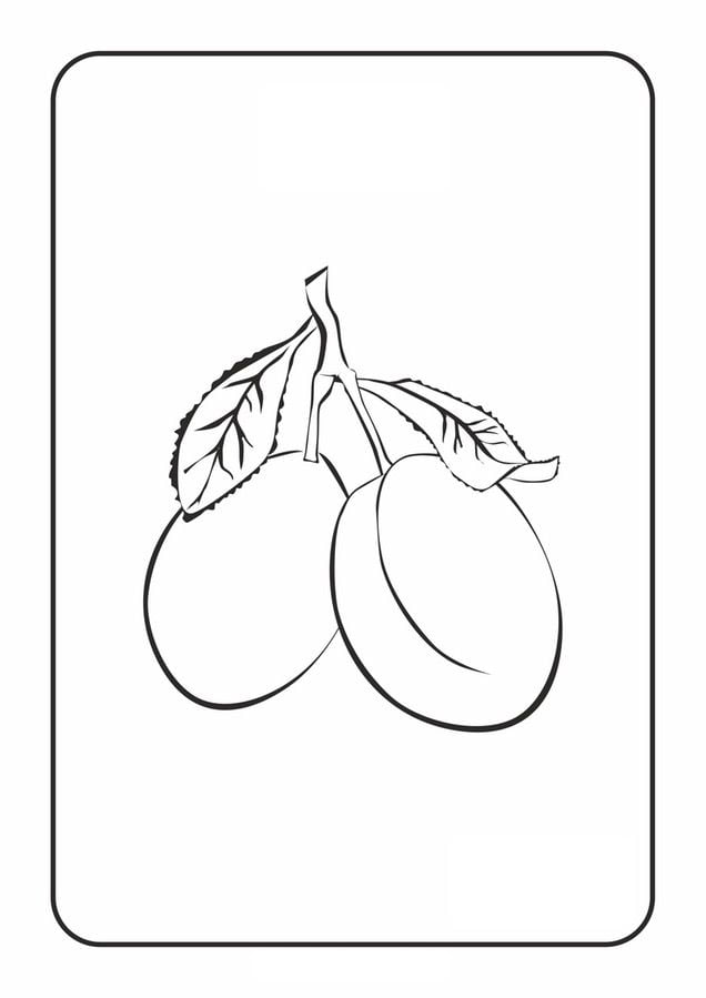 juicy plum coloring pages printable jpg