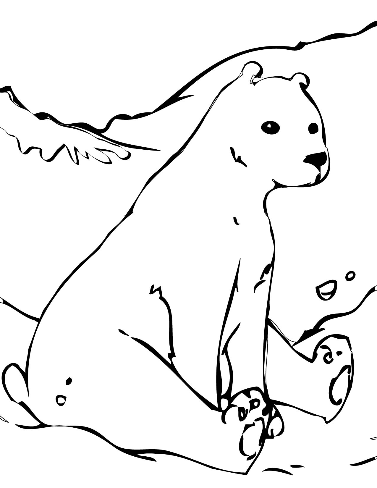 polar bear coloring pages pdf printable jpg