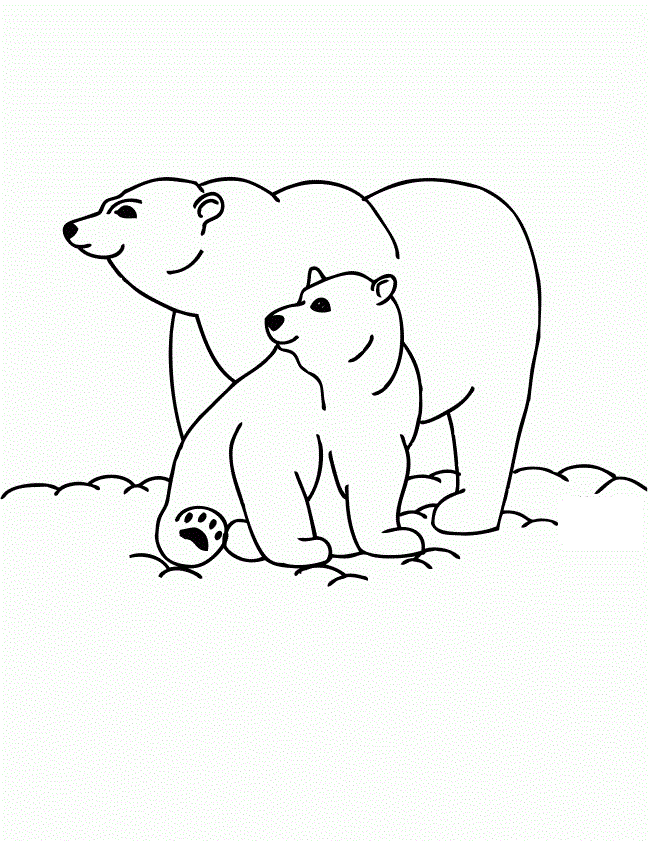 polar bear coloring pages pdf printable jpg