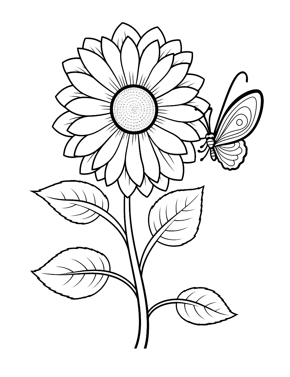 beautiful flower and rainbow coloring pages printable jpg