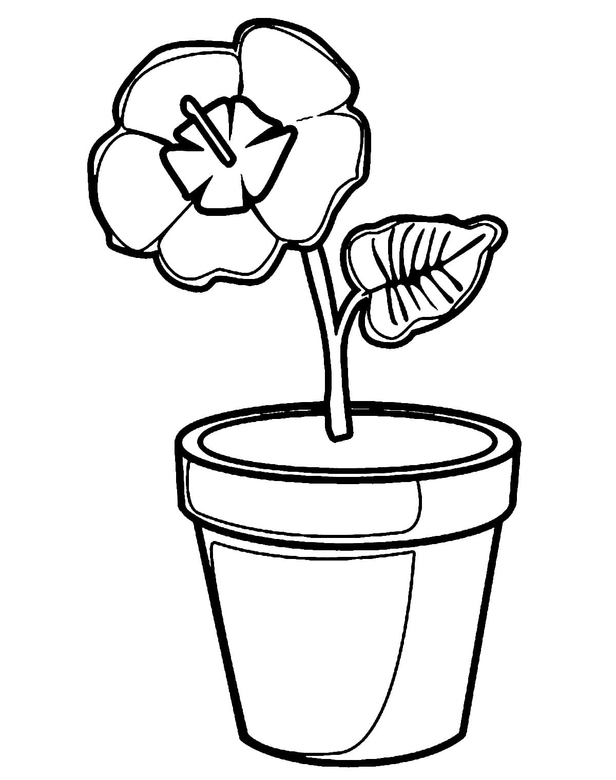 flower pot coloring pages printable jpg