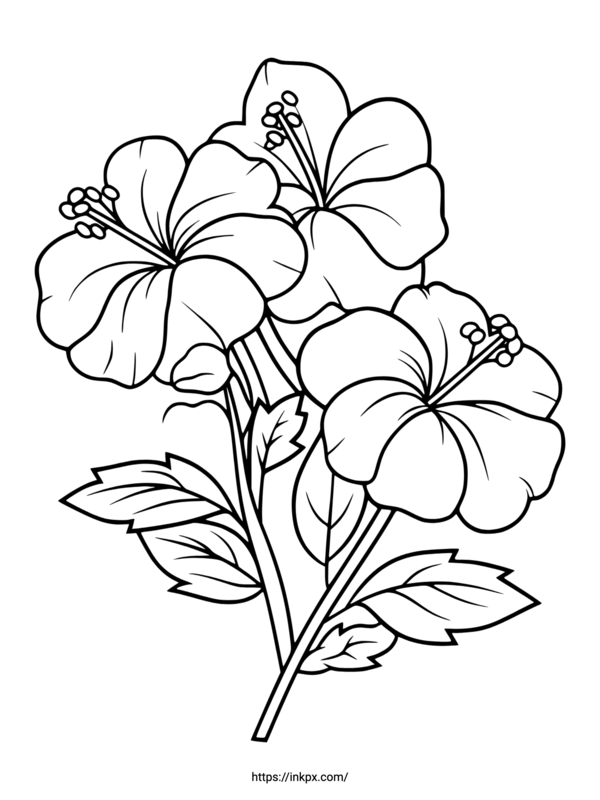 hibiscus coloring pages for kids printable jpg