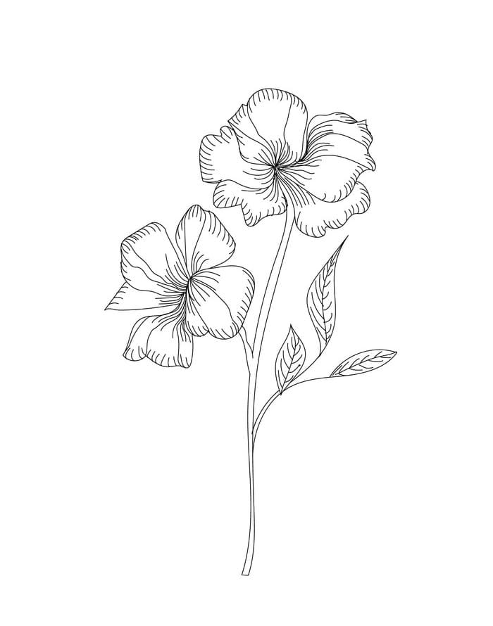 hibiscus coloring pages for kids printable jpg