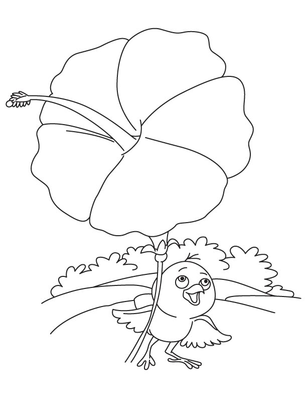 hibiscus coloring pages for kids printable jpg