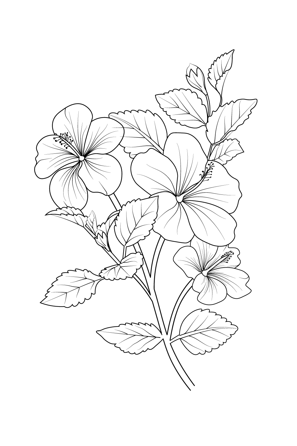 hibiscus coloring pages for kids printable jpg