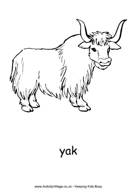 yak coloring pages printable jpg