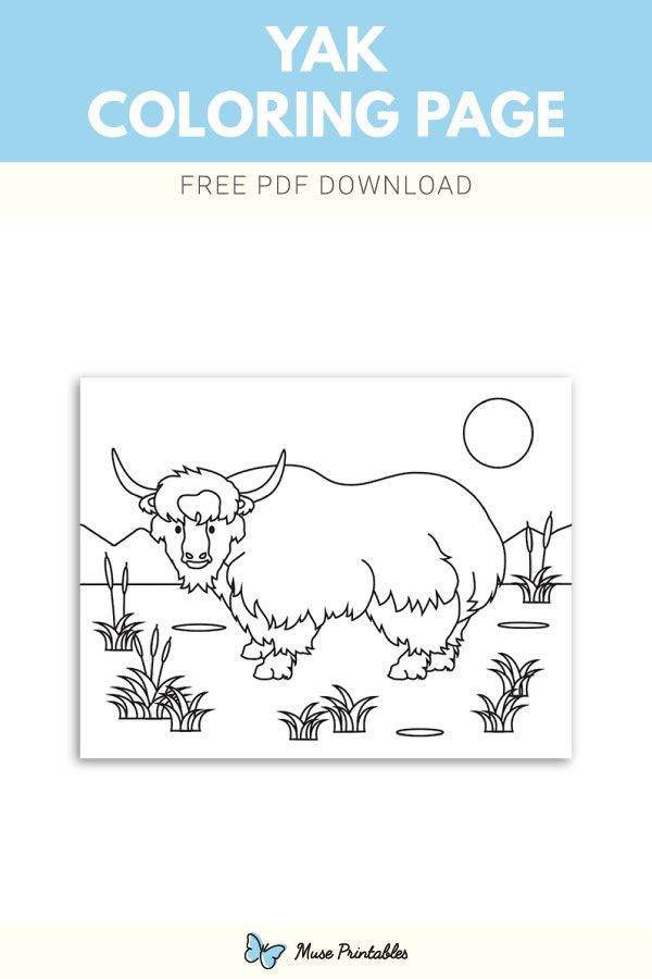 yak coloring pages printable jpg