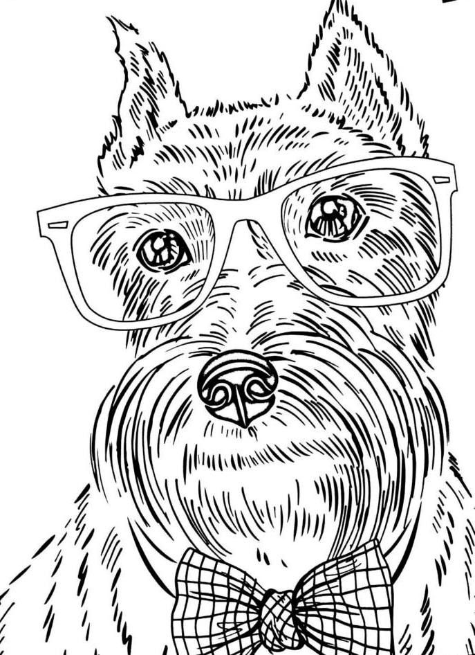 animal dog coloring pages printable jpg