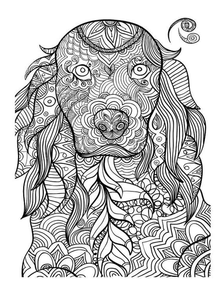 animal dog coloring pages printable jpg