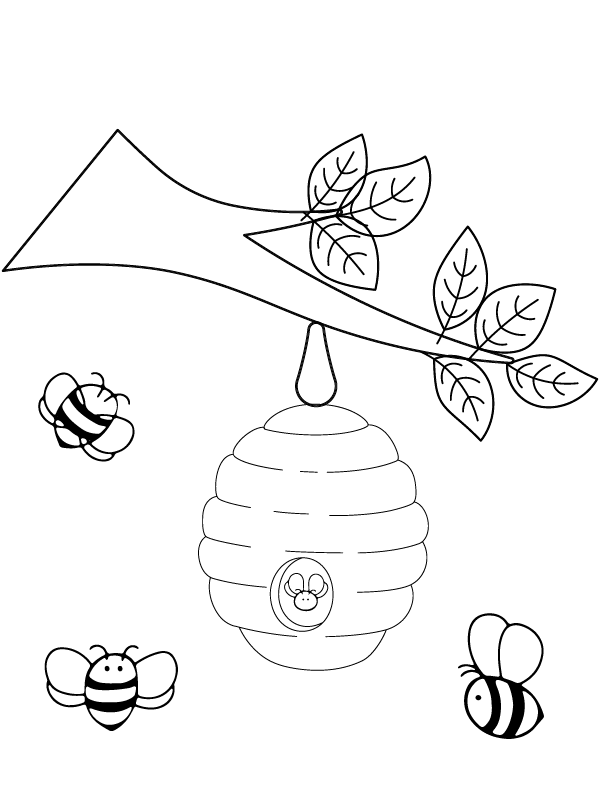 flower and bee coloring pages printable nature jpg