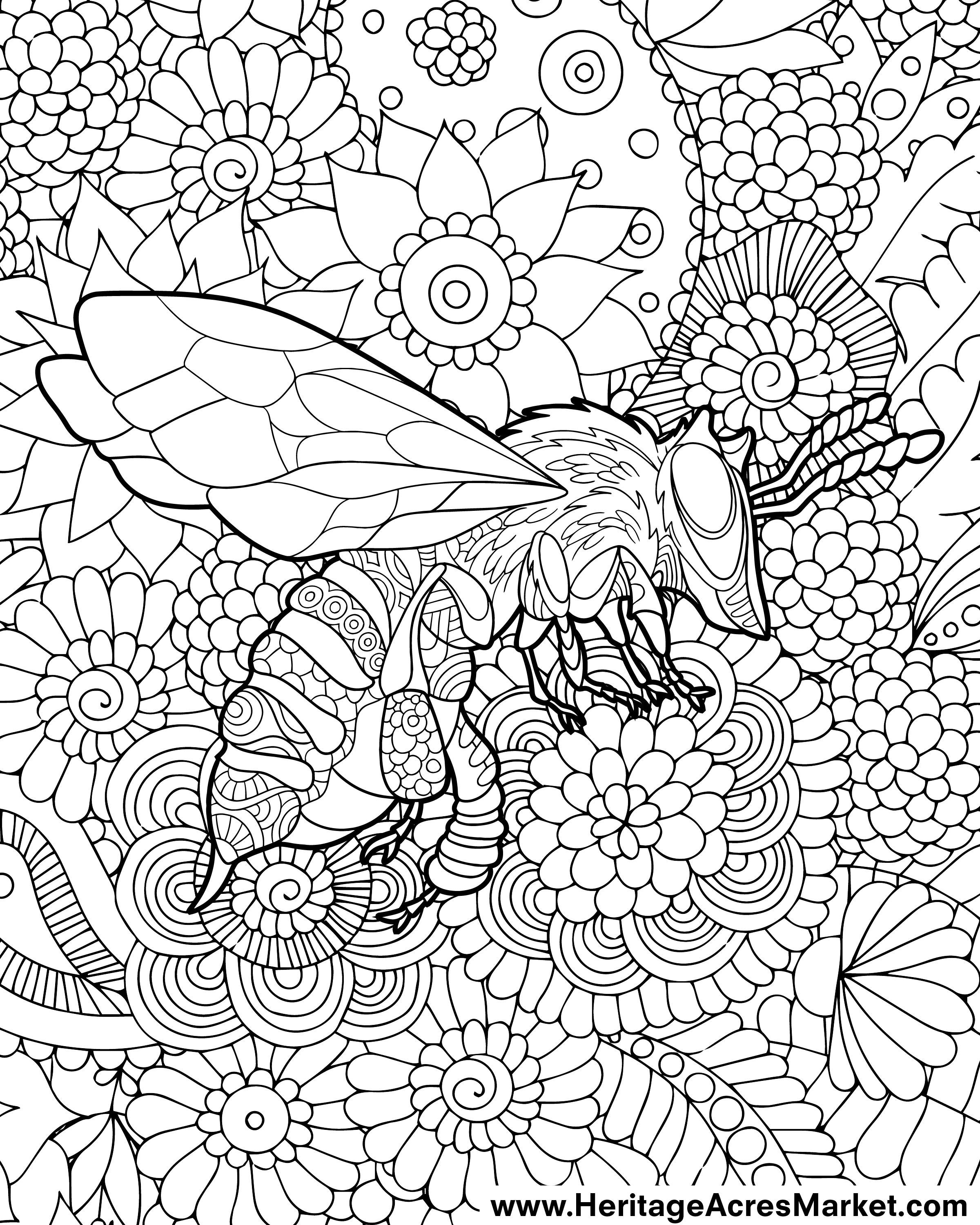 flower and bee coloring pages printable nature jpg