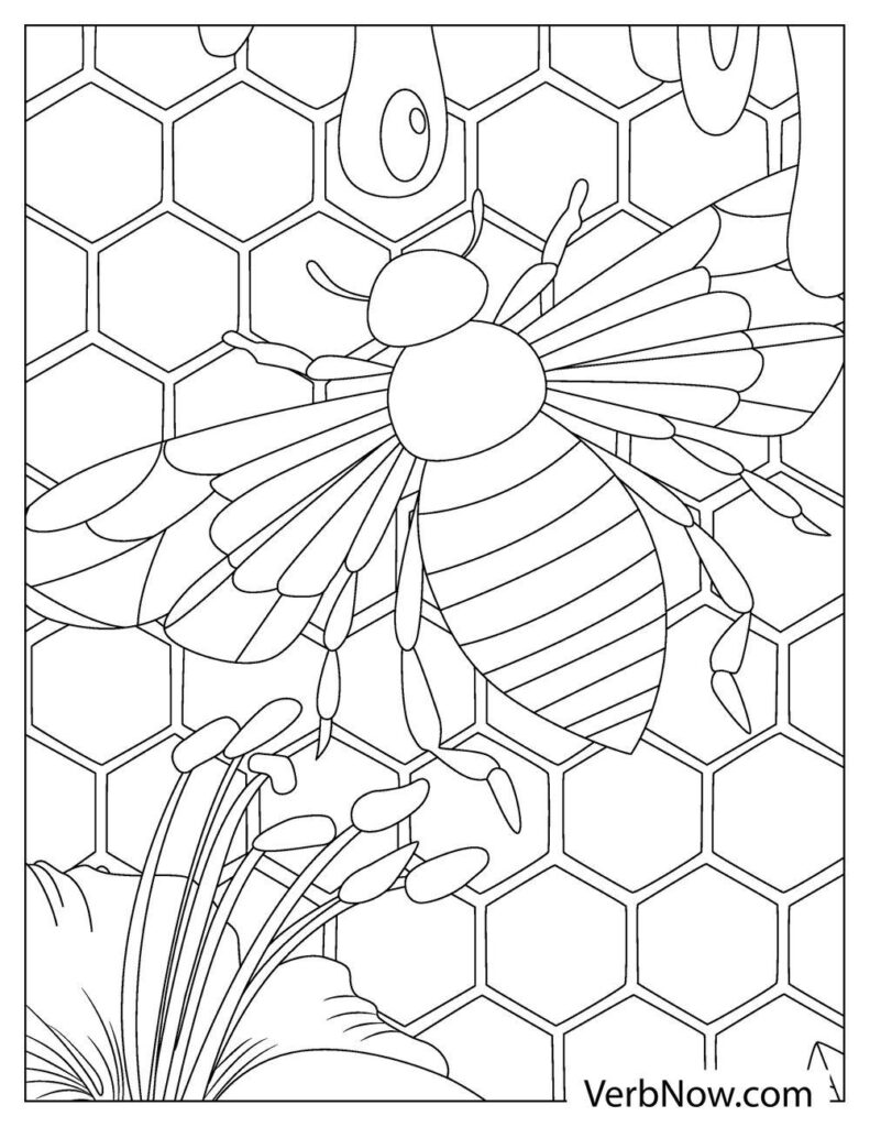 flower and bee coloring pages printable nature jpg