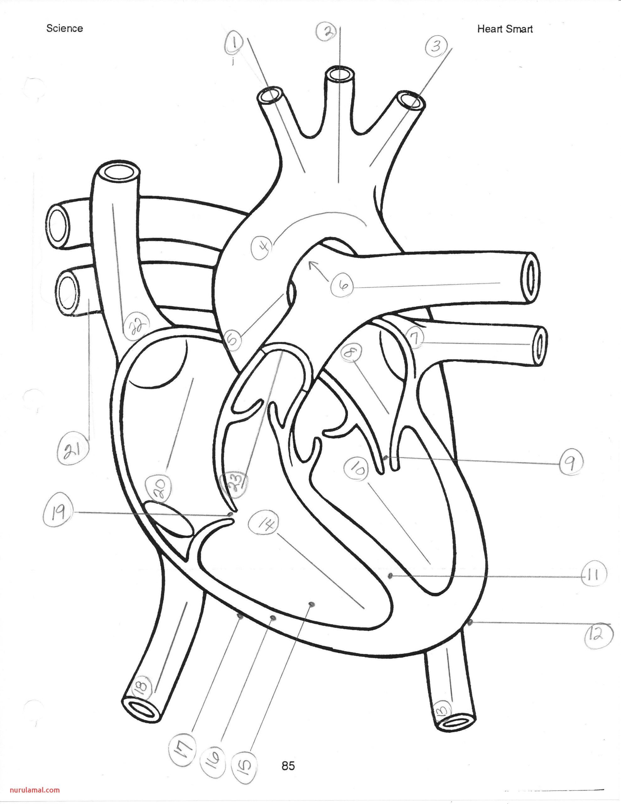 i heart guts coloring pages fun printable jpg