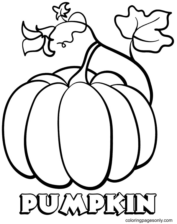 pumpkin coloring pages for kids and adults free printables jpg