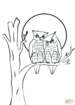 31+ Valentine Owl Coloring Pages: Aesthetic and Free Printable