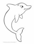 31+ Easy Dolphin Coloring Pages for Kids Free Printable