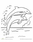 31+ Easy Dolphin Coloring Pages for Kids Free Printable