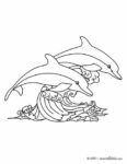 31+ Easy Dolphin Coloring Pages for Kids Free Printable