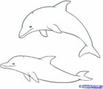 31+ Easy Dolphin Coloring Pages for Kids Free Printable
