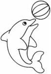 31+ Easy Dolphin Coloring Pages for Kids Free Printable